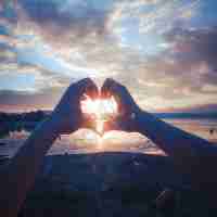 如‍何‍查​反‍向‌链‌接‍